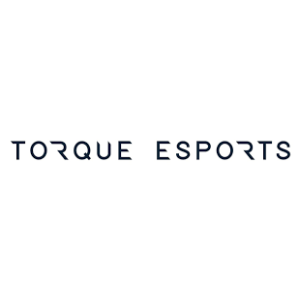 2020 Torque Esports