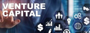 Venture Capital Market 2024